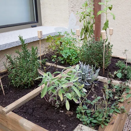 Hotel El Encanto & Cafeteria 4*