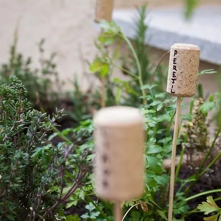 El Encanto & Cafeteria 4* Avila