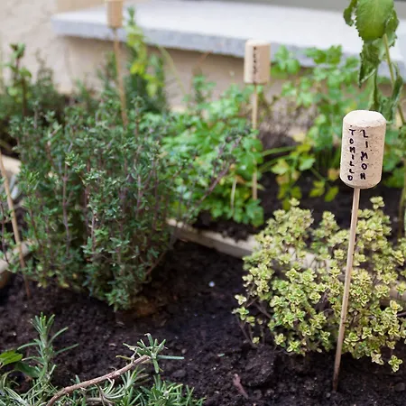 El Encanto & Cafeteria