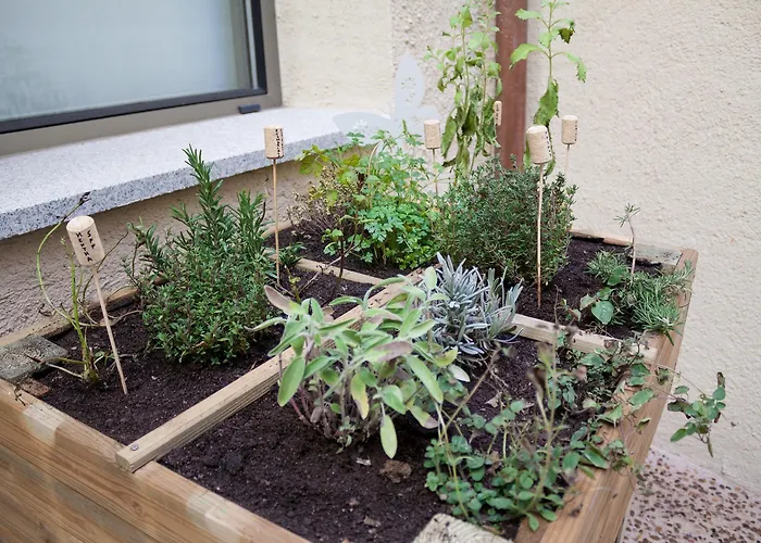 호텔 El Encanto & Cafeteria 4*