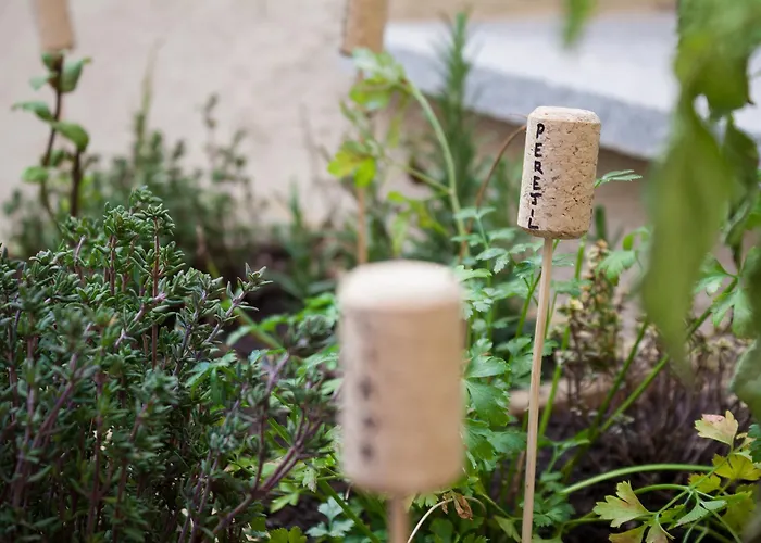 El Encanto & Cafeteria 4* Ávila