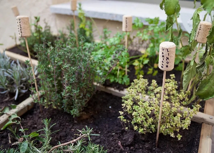 El Encanto & Cafeteria